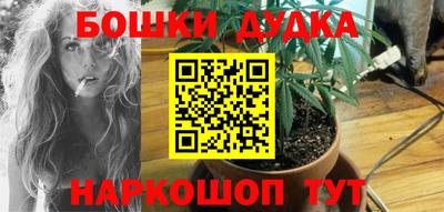 гашик Изобильный